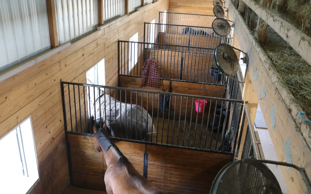 equestrian post-frame building