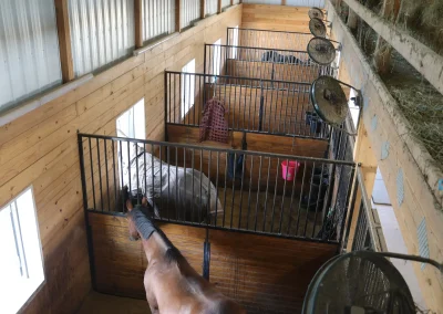 equestrian post-frame building