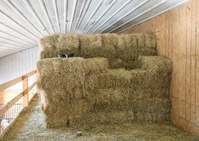 Interior Equestrian Post-frame building