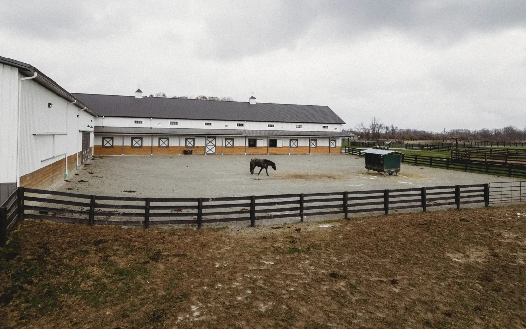 equestrian post-frame building