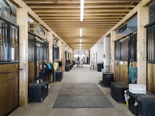 horse stables horse stables