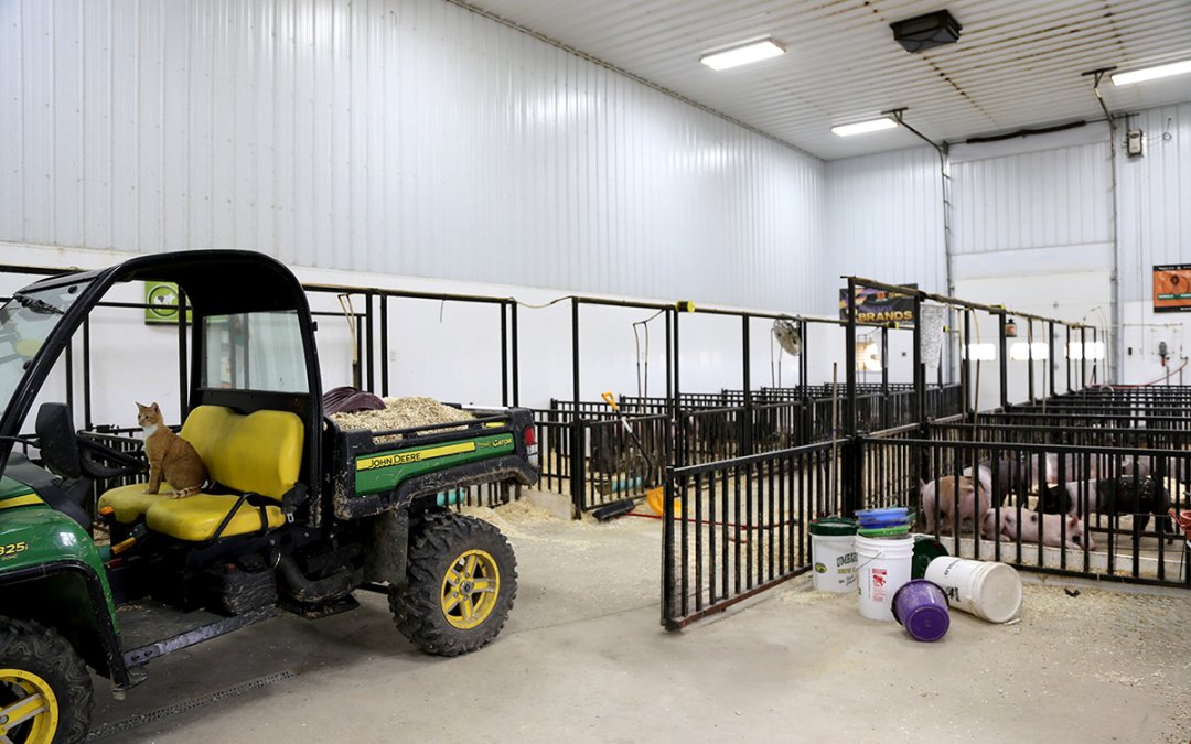 MB_Ag-PillarPage_Image-5_Showbarns post-frame livestock show barn building