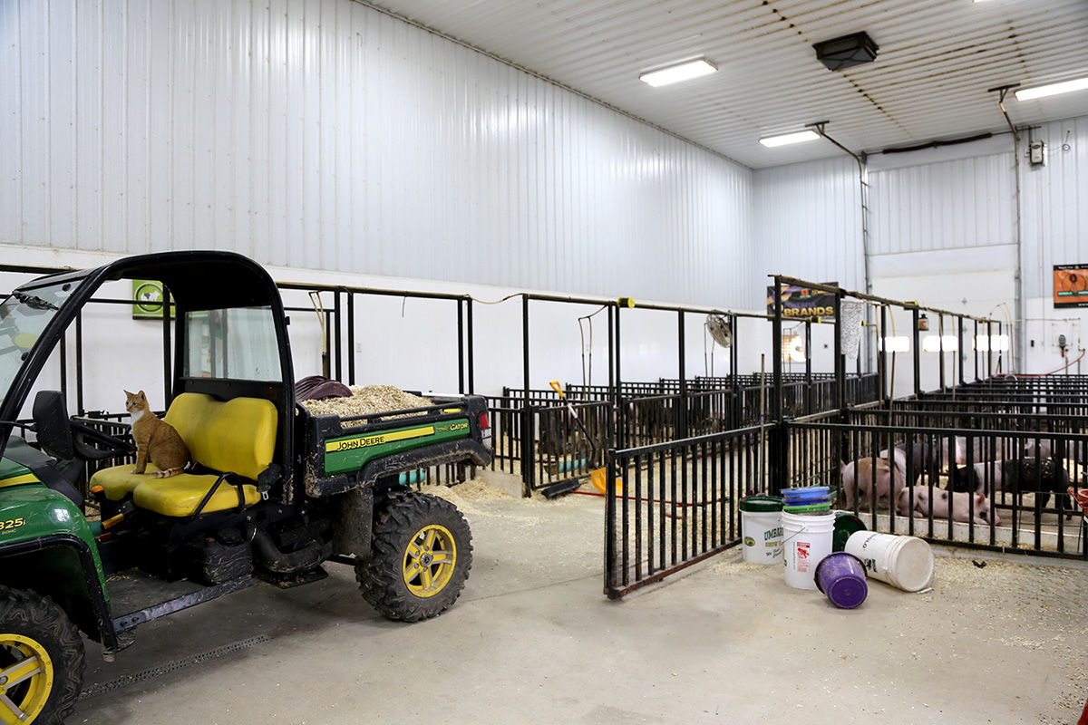 post-frame livestock show barn building