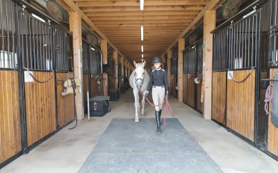 How to Plan a Horse Barn Layout That Works for Humans & Horses Every Day