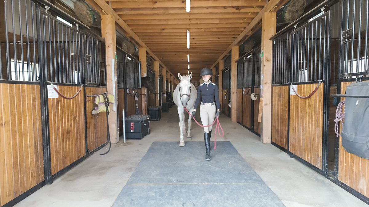 How to Plan a Horse Barn Layout That Works for Humans & Horses Every Day