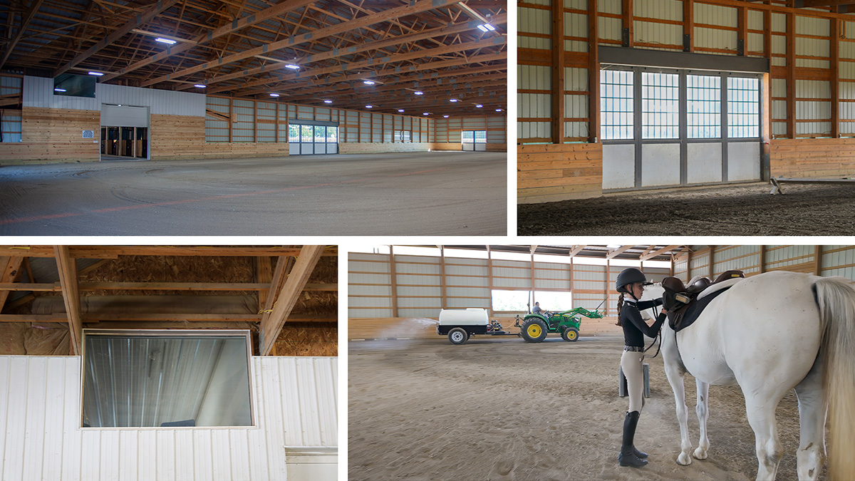 equestrian building horse riding arena features cost